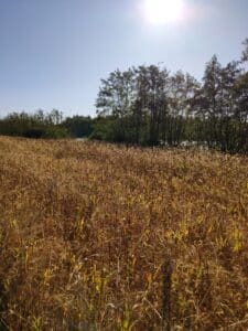 IMG_20190929_102018