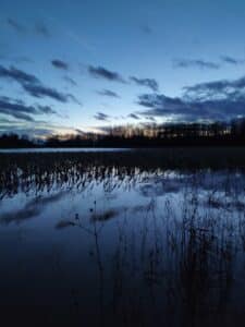IMG_20191214_172652